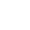 The New Orbit Logo